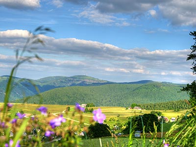 Blick über das Feldberg-Massiv